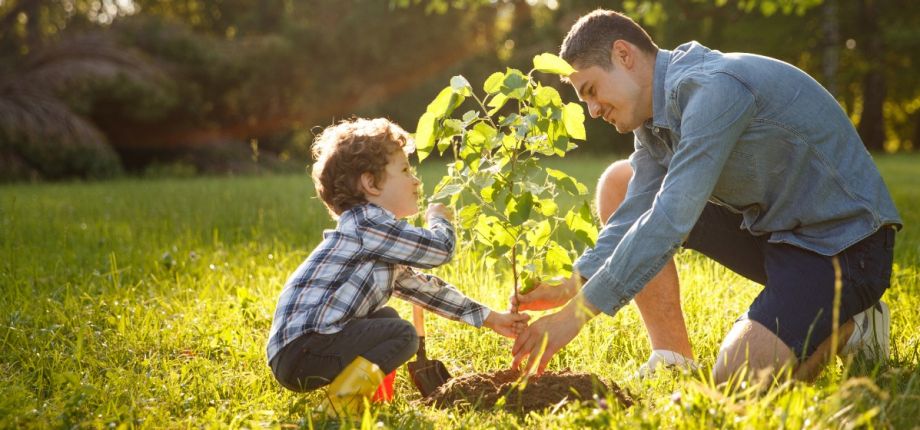 Ein Erwachsener und ein Kind pflanzen gemeinsam einen Baum