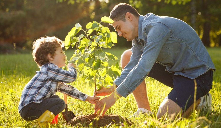 Vater und Sohn pflanzen einen Baum auf einer Wiese