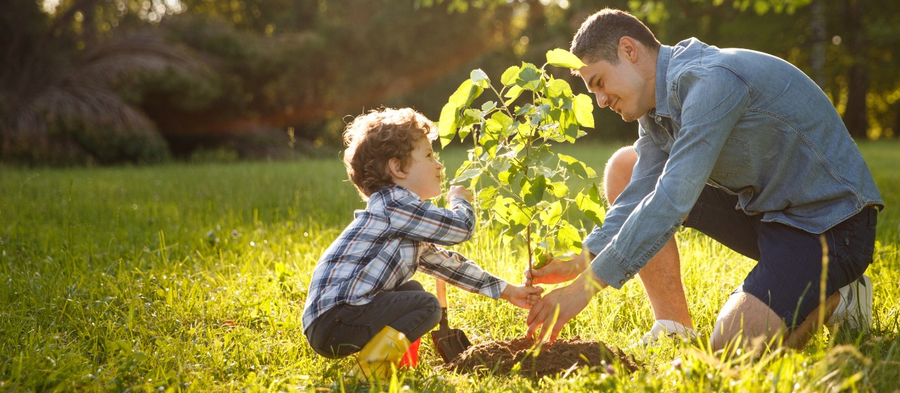 Ein Erwachsener und ein Kind pflanzen gemeinsam einen Baum